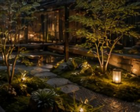 Garden at Night